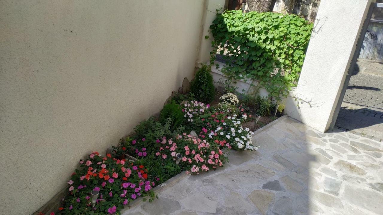 Miroom In The Heart Of Пловдив Екстериор снимка